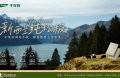 P人天菜！用千年舟&middot;新西兰纯松板造家，松弛感拉满