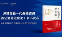 深维度战略咨询：从29亿到100亿，企业做对了什么？