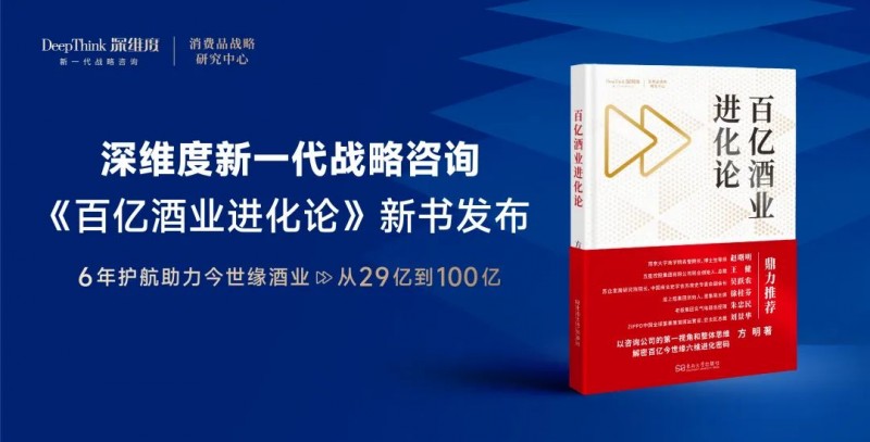 深维度战略咨询：从29亿到100亿，企业做对了什么？