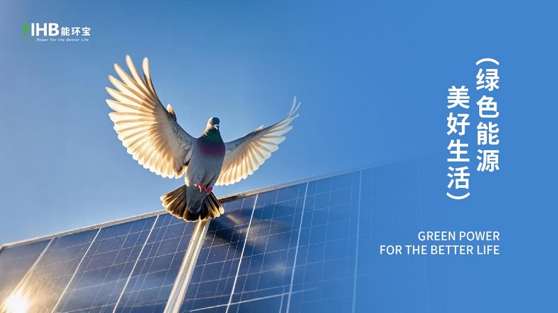 能环宝斩获多项行业权威奖项，彰显分布式光伏专业实力