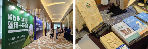 喜报！千年舟荣获金匠榜「抗菌板十大品牌、匠心板材十大品牌」双料大奖