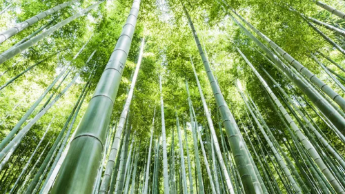 超高防潮丨性能与美学兼具，这张好板更懂健康生活