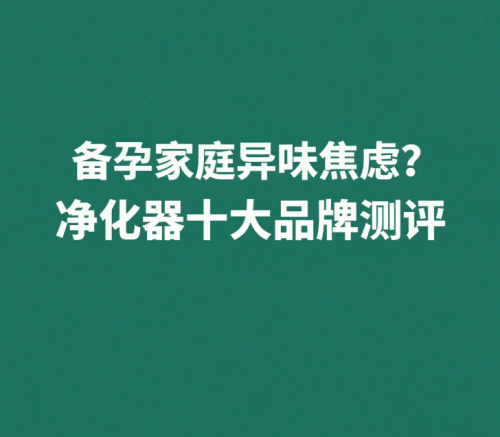 备孕家庭异味焦虑？除甲醛除烟味净化器十大品牌测评