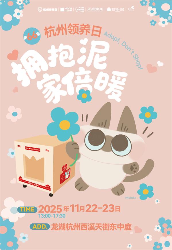 实木猫屋、公益领养，大王椰用“场景化美学”破局高端板材营销