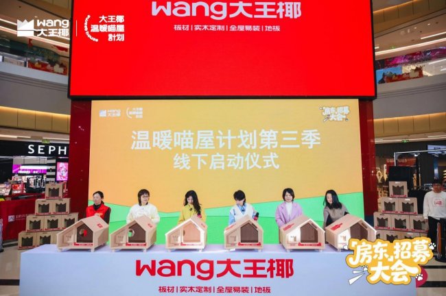 12800个实木猫屋的温暖答案 大王椰公益 IP 的长期主义