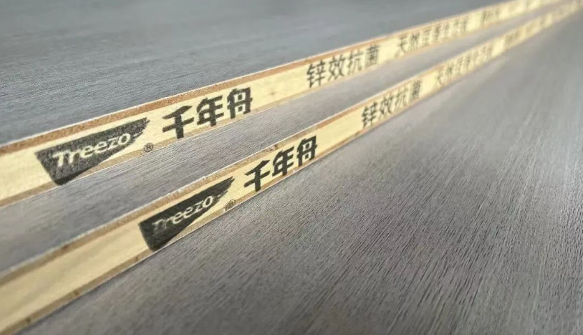 千年舟全新「防伪指南」来袭，教你快速辨真假