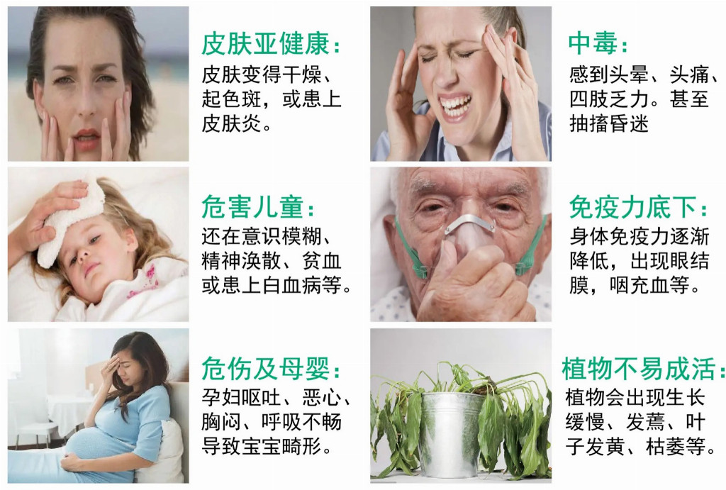 家里有老人小孩孕妈妈，室内装修腻子粉哪个品牌最好最环保？