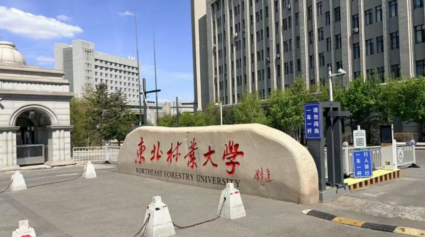 纹艺觉醒&middot;舟行东方丨千年舟走进东北林业大学，共启家居设计新篇
