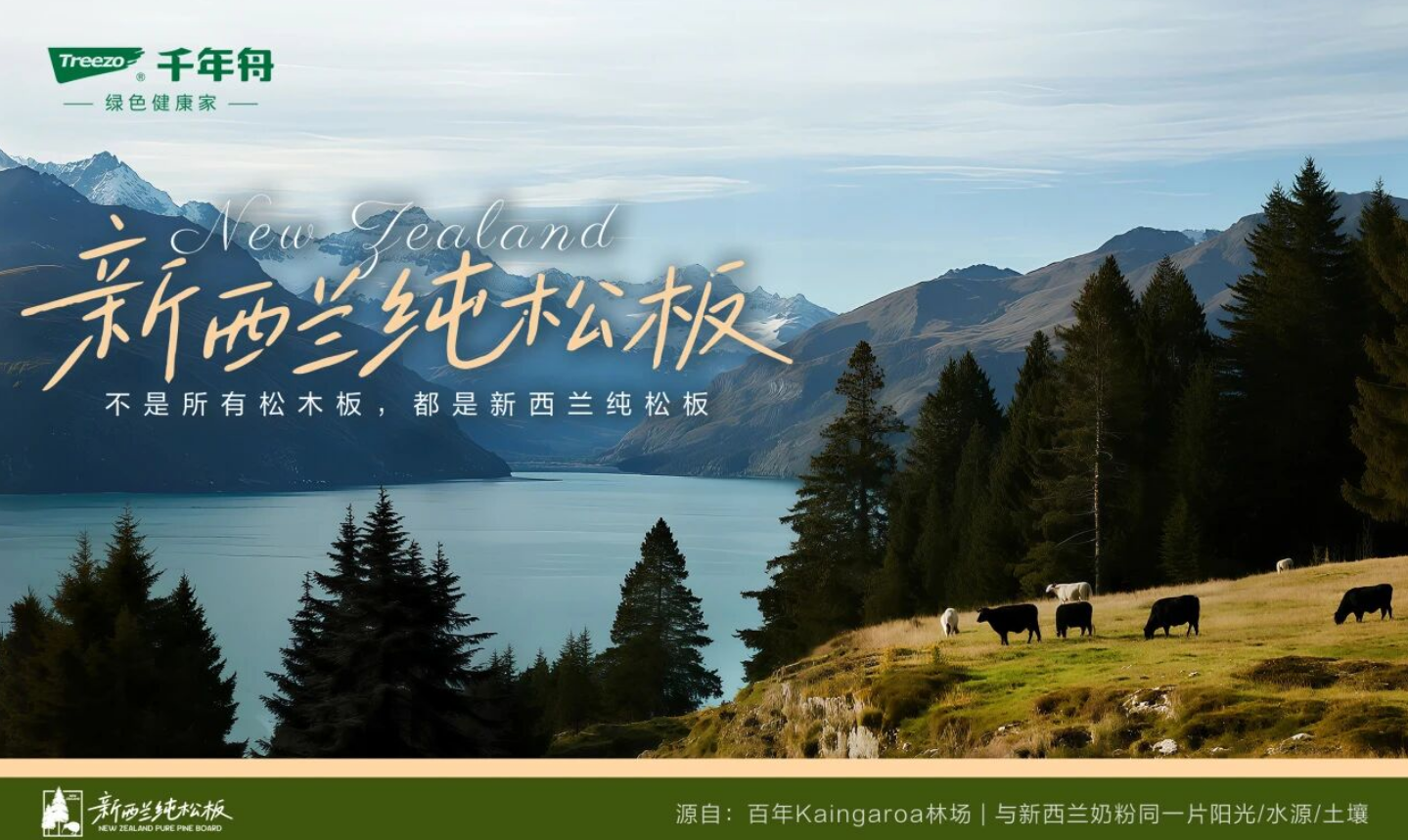 千年舟&middot;新西兰纯松板，真正的环保超乎形象